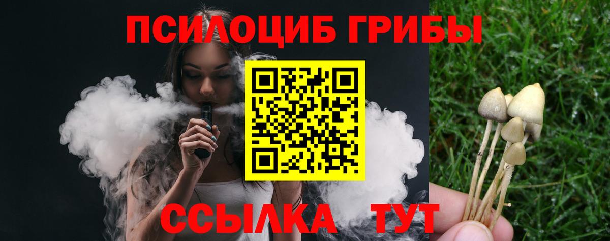 Псилоцибиновые грибы мухоморы Саянск